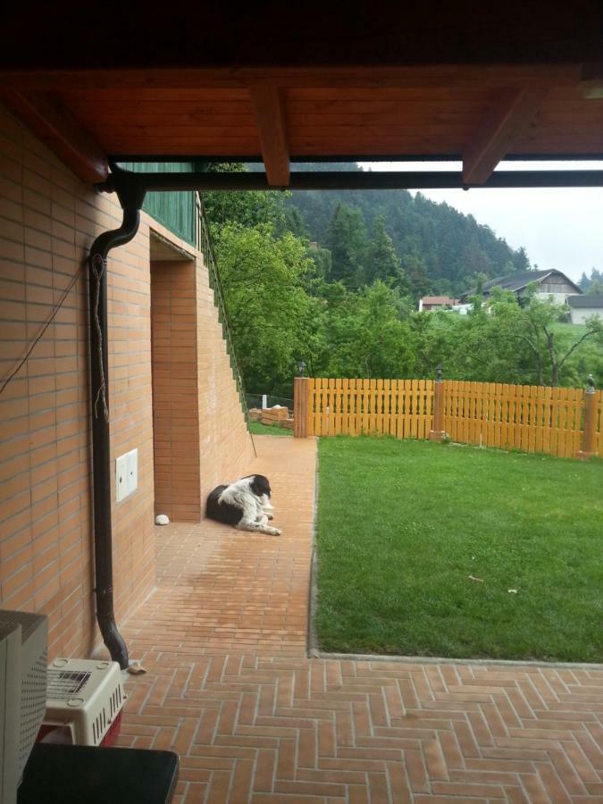 Sostanj Velenje Ravne Sobe Rooms Vrtacnik D O O Bagian luar foto