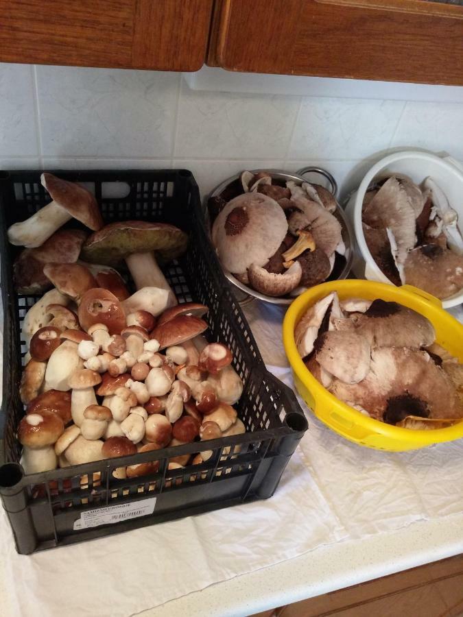 Sostanj Velenje Ravne Sobe Rooms Vrtacnik D O O Bagian luar foto
