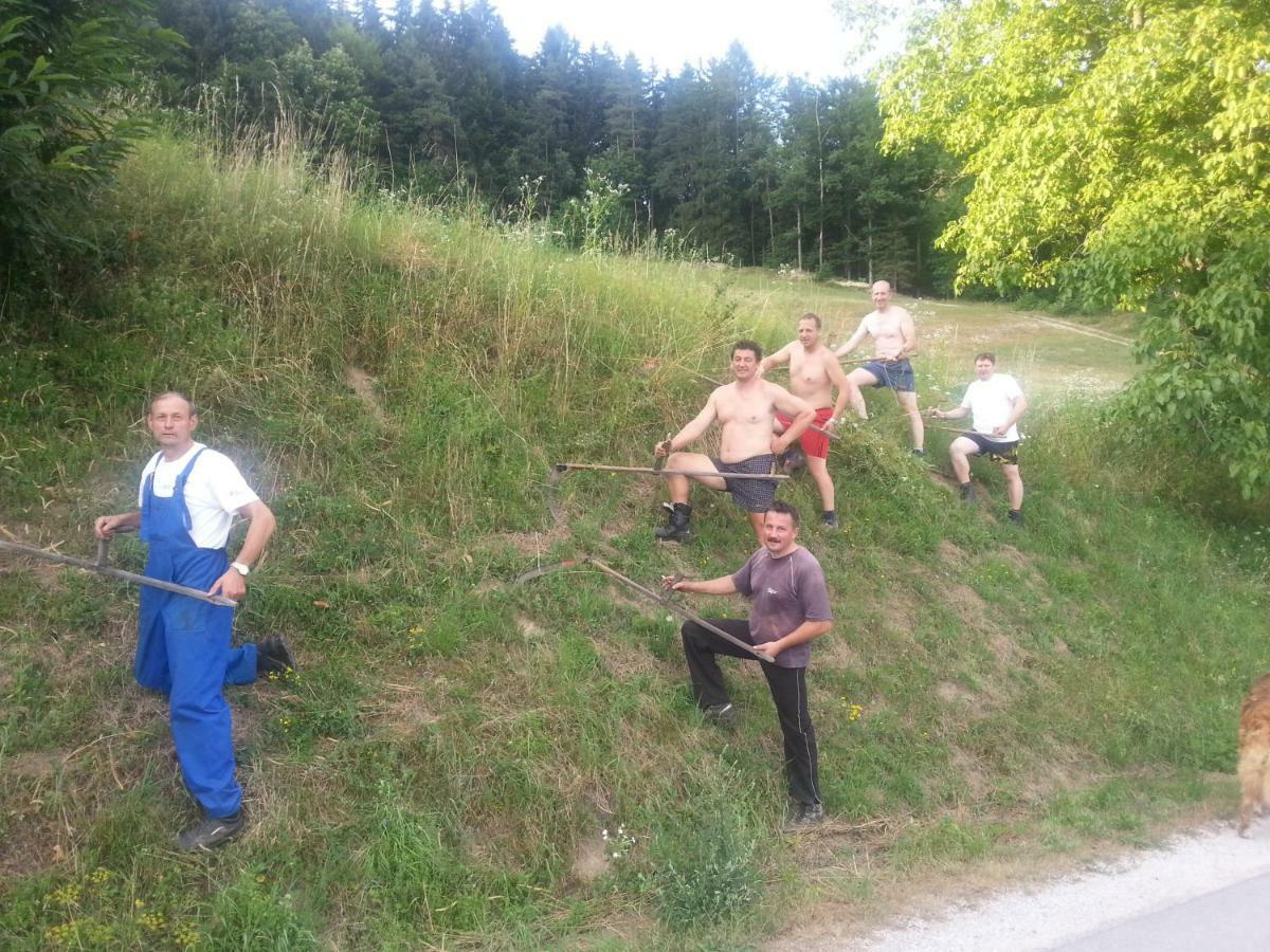 Sostanj Velenje Ravne Sobe Rooms Vrtacnik D O O Bagian luar foto